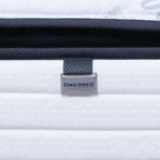 BetterSpine® Pro Mattress